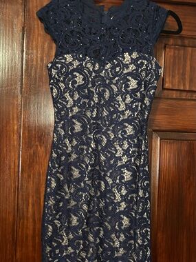 Navy Lace Overlay Sheath Dress - Elegant Women's Dress
